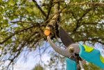 7 conseils essentiels pour un entretien jardin optimal toutes saisons