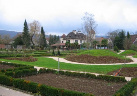 albizzia-18.jpg